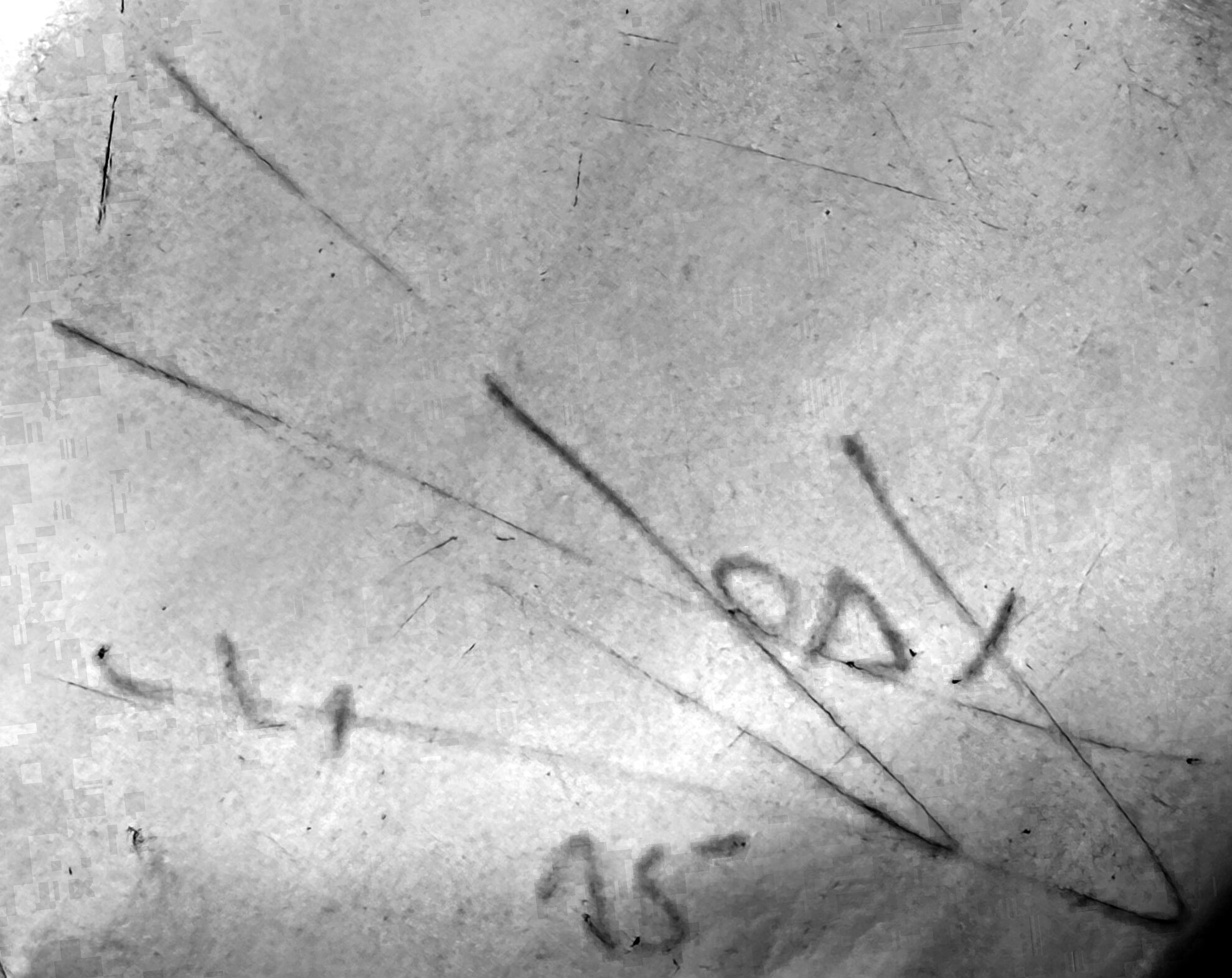 Signature of Capdevila