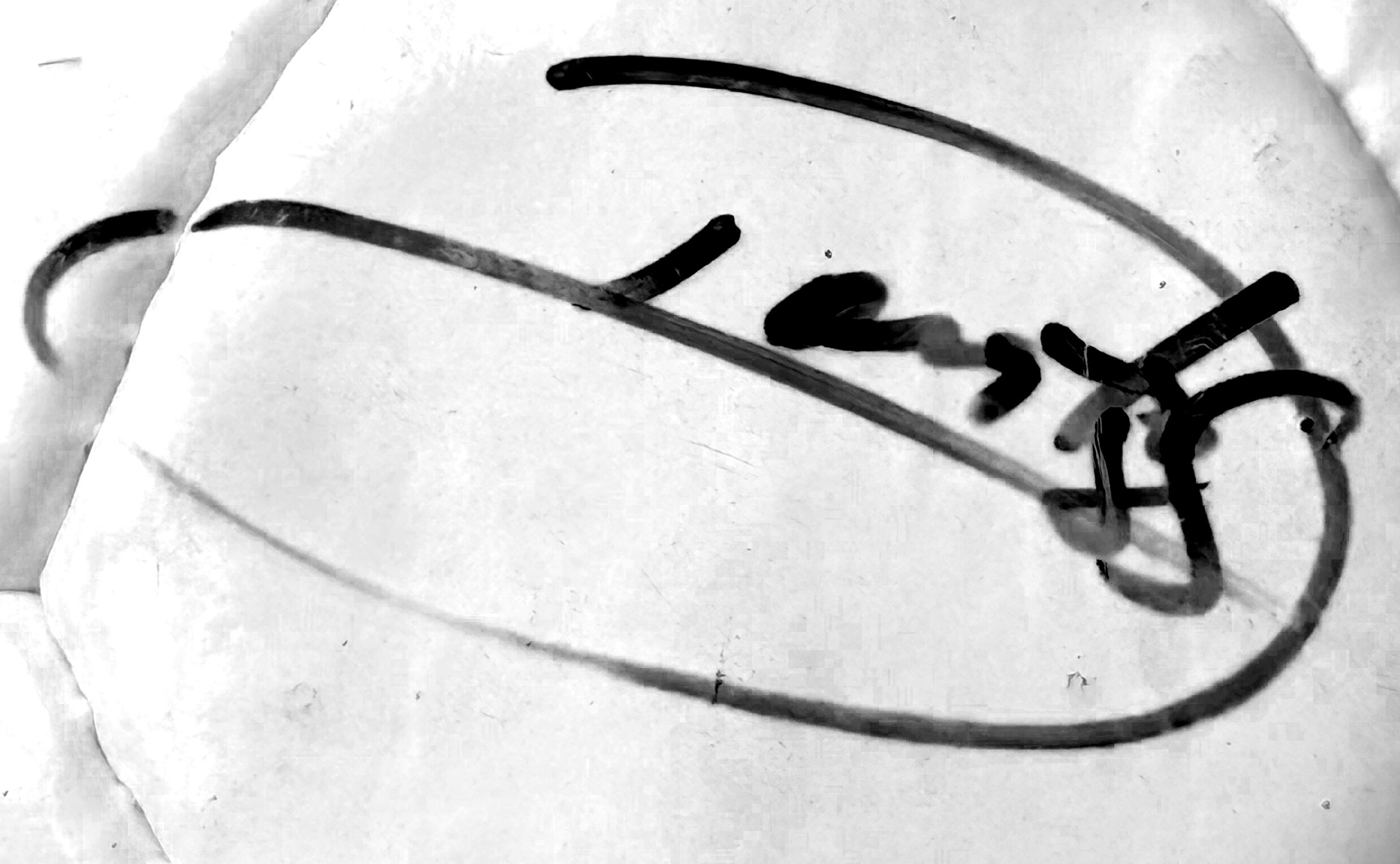 Signature of Donato