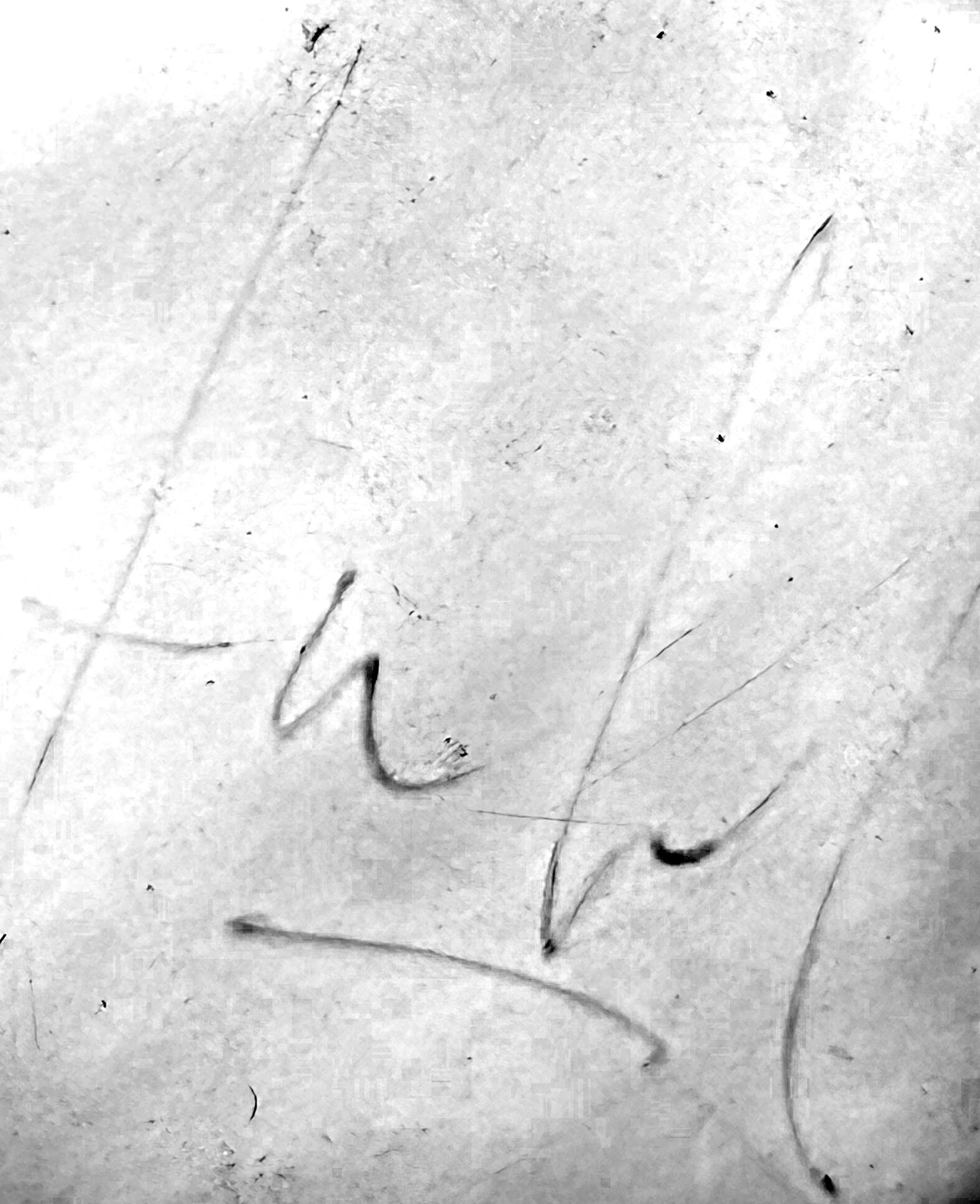 Signature of Hélder