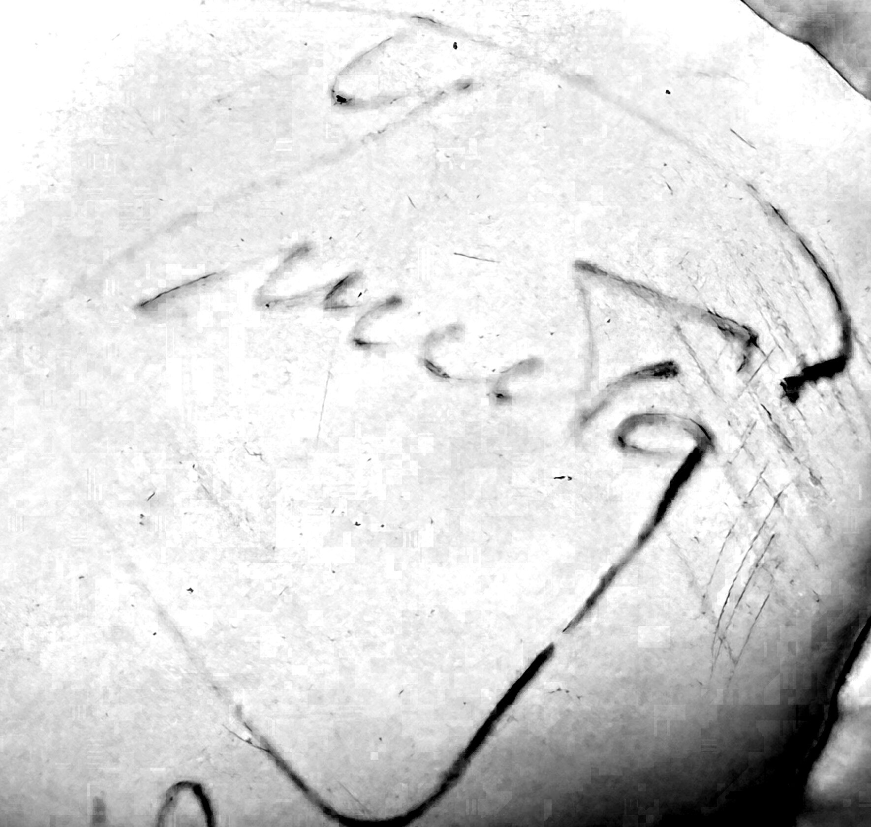Signature of Irureta