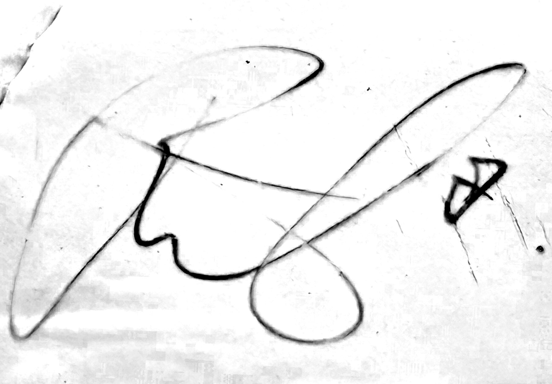 Signature of Makaay