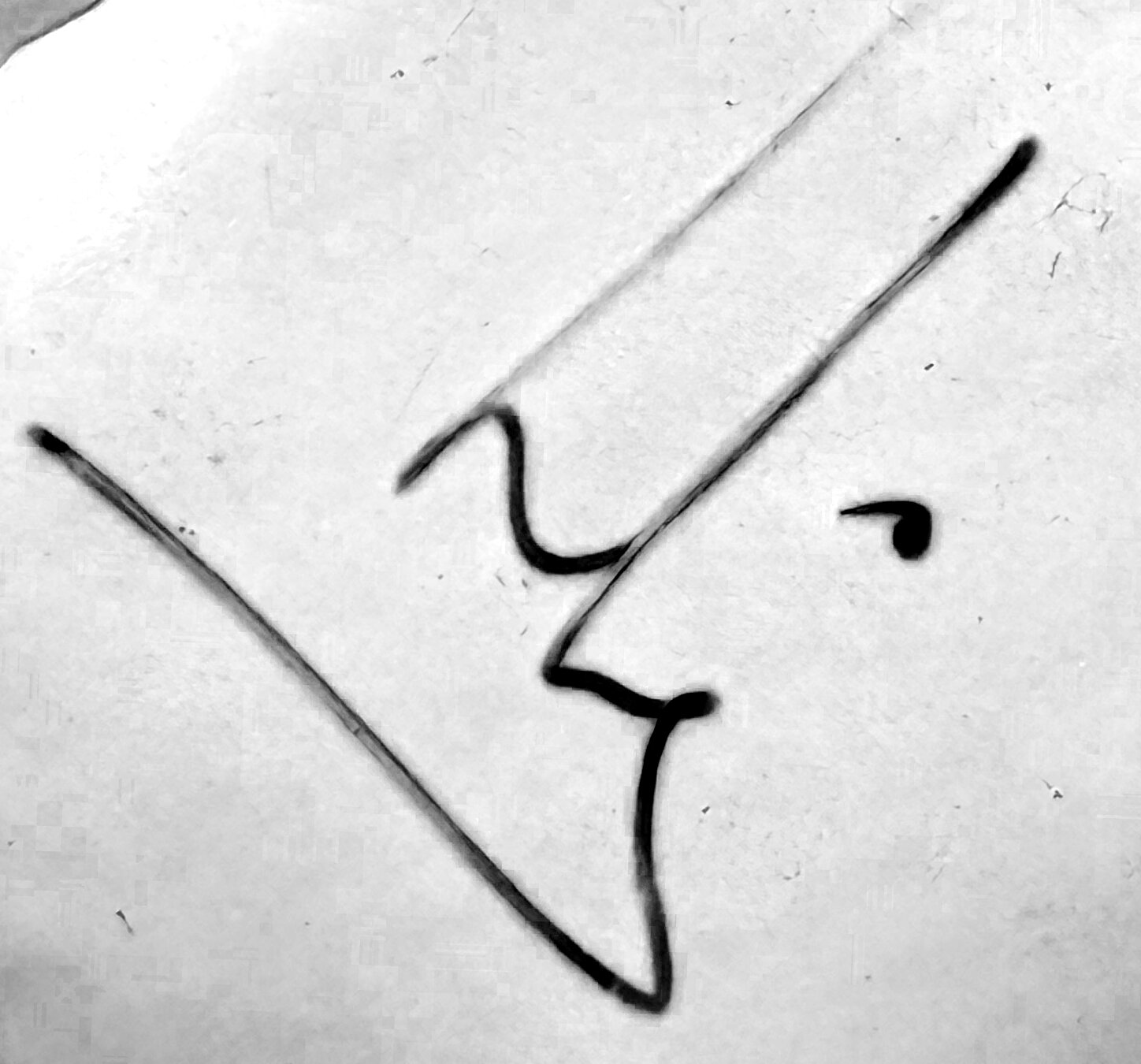 Signature of Molina
