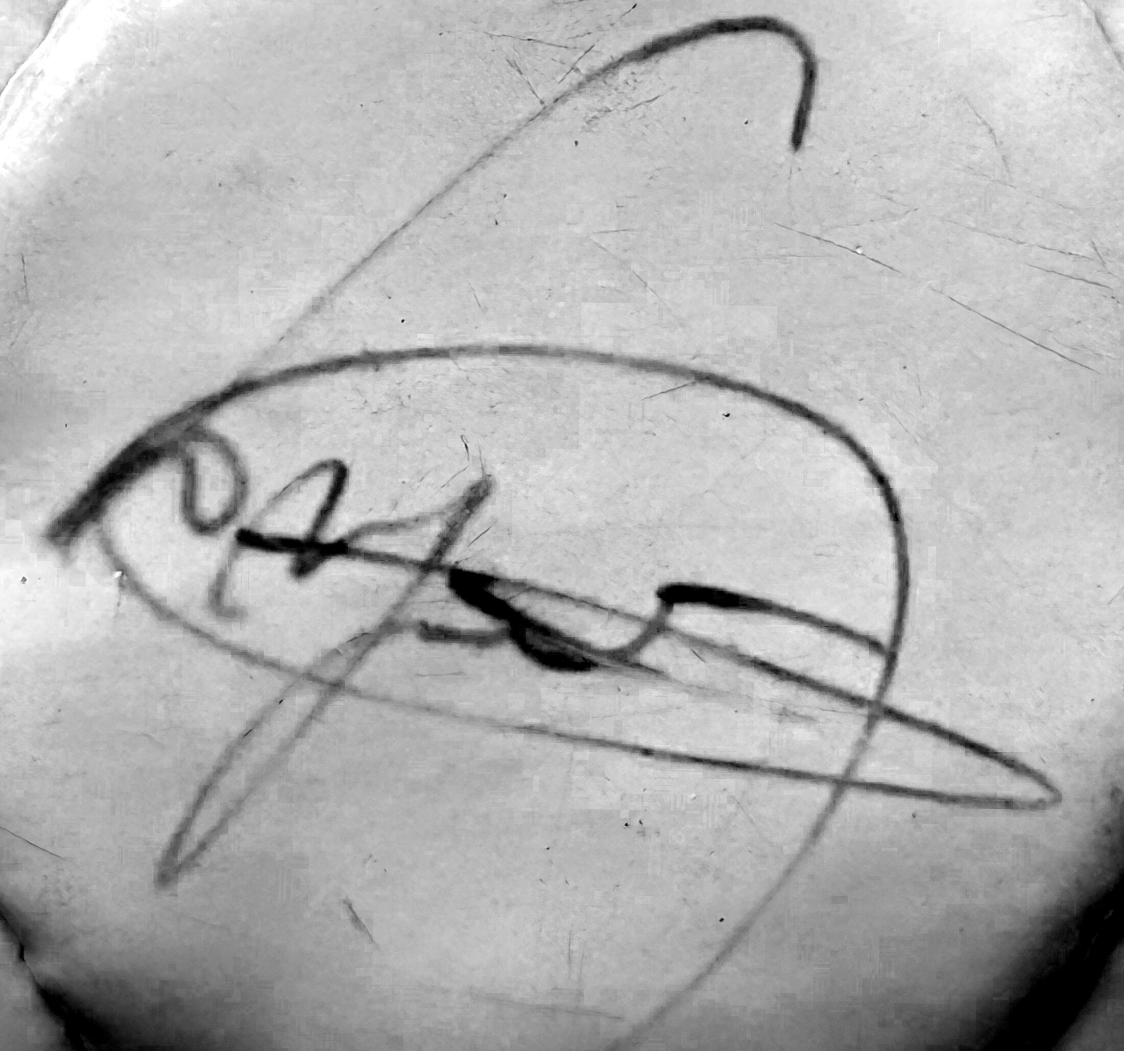 Signature of Songoo