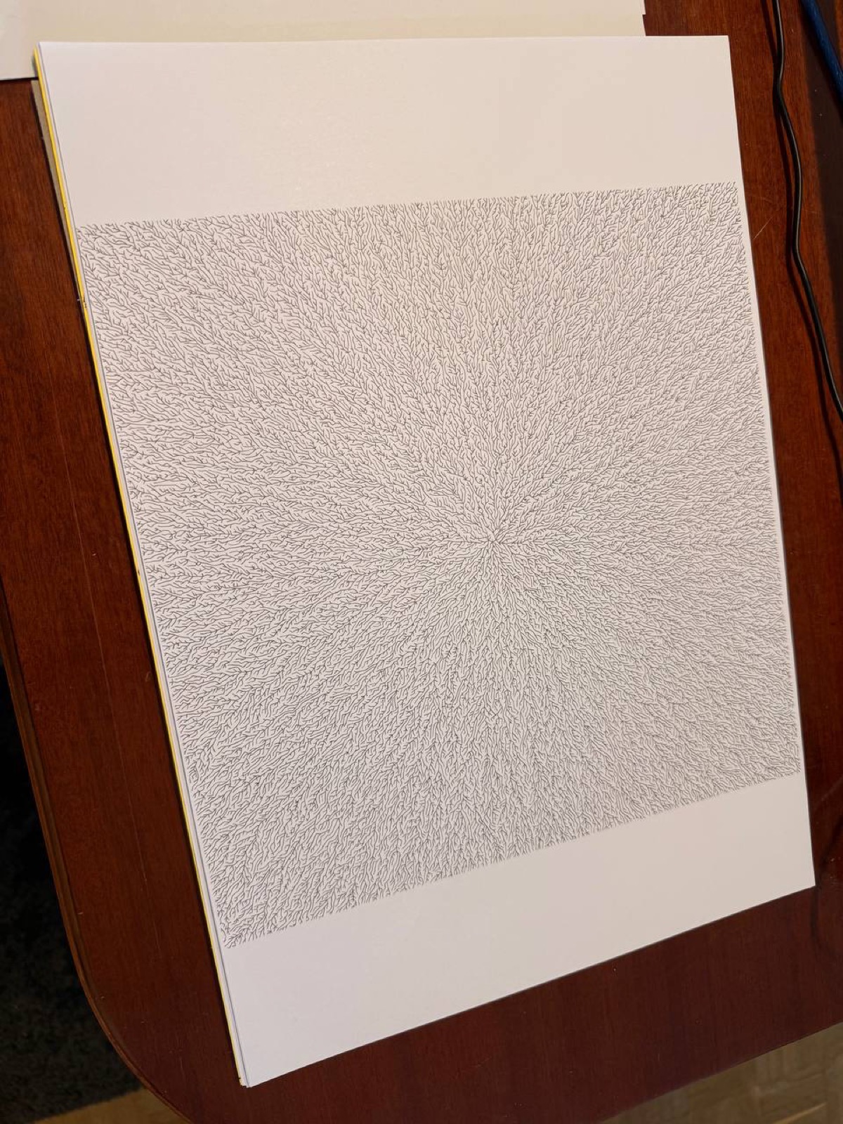 Phyllotaxis pattern: thousands of tiny strokes radiating from the center.