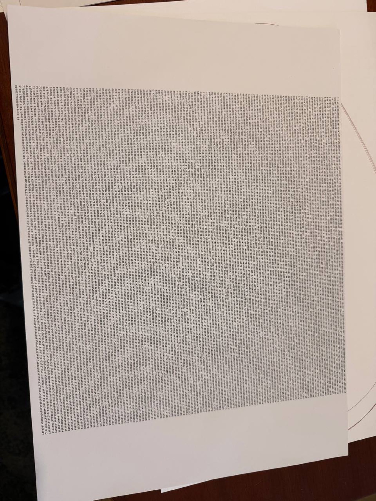 Space-filling curve covering an entire page in tiny, dense strokes.