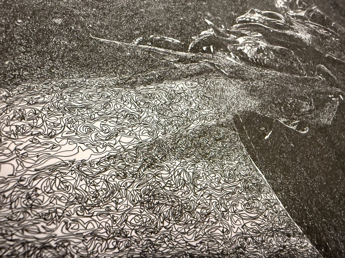 Single continuous line rendering showing how one unbroken path creates a detailed image.